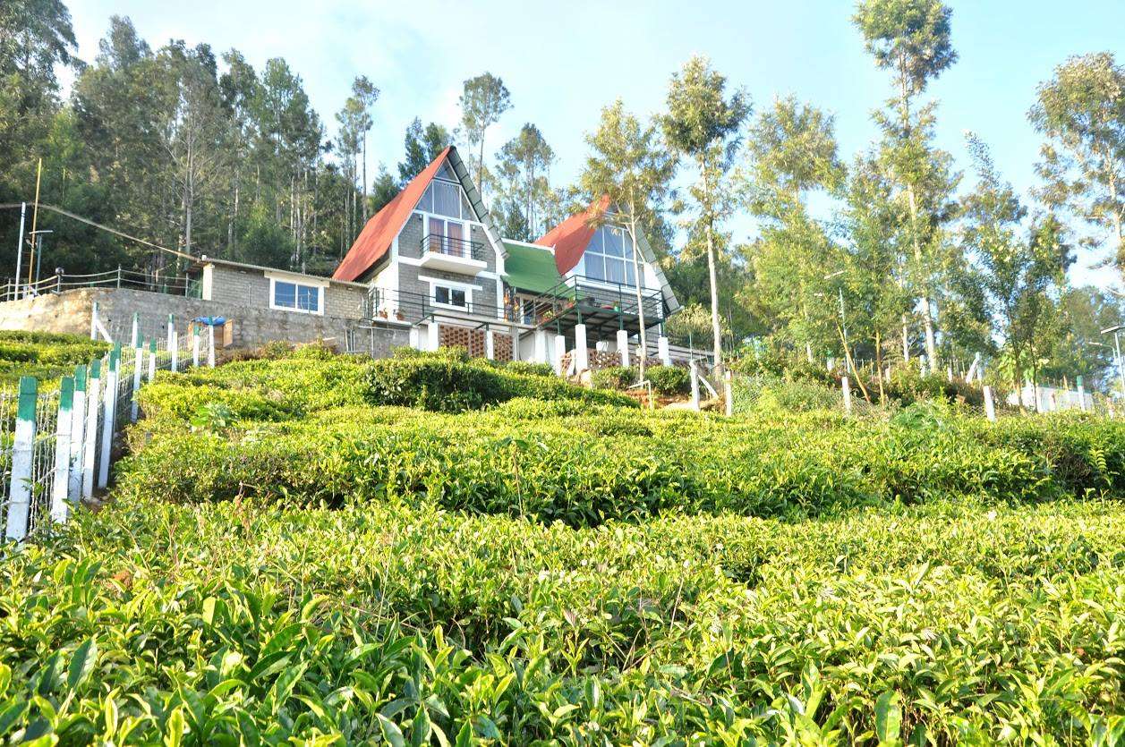 A Boutique Stay Tucked Amidst Tea Plantations of Kotagiri