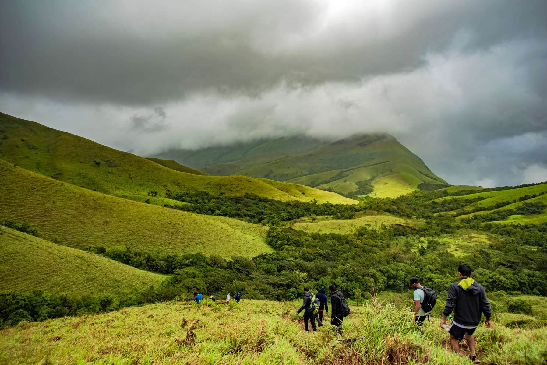 Kurinjal Peak Trek Image