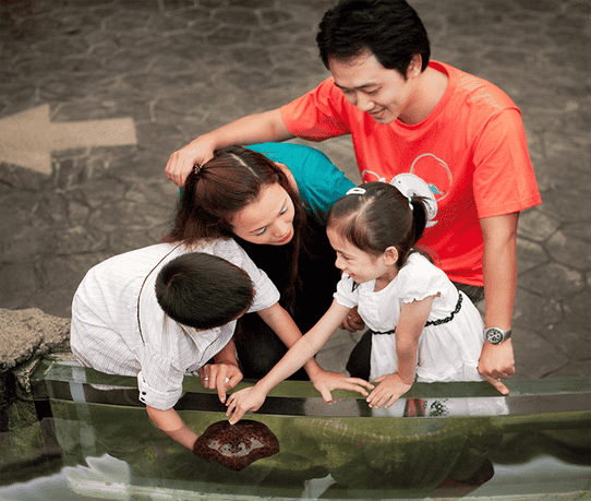 R1g8me906520j86uasd28l5v5uxu underwater%202%20 %20touch%20pool