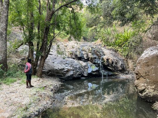 Mudumalai Buffer Zone Jeep Safari Image