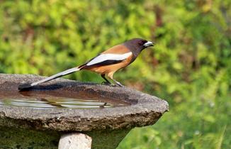 R204xatjy82pkps8c3y5b3xjpujo 12221977335 bd69775363 b