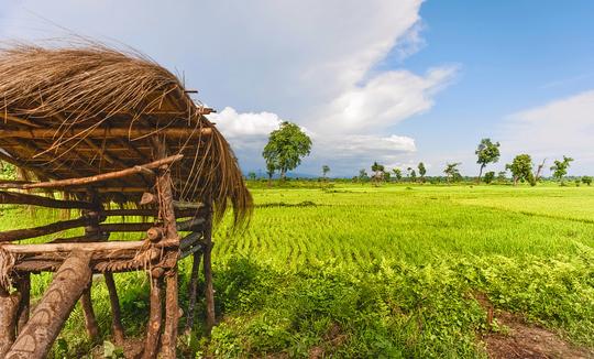 Arunachal Pradesh Family Tour Package Image