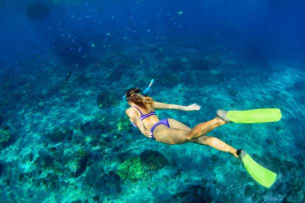 Snorkel in pristine waters of Nusa Lembongan 