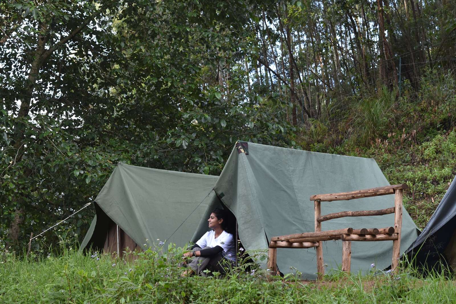 Meesapulimala Trek Image