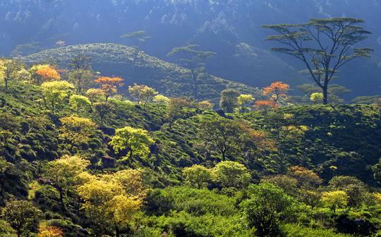 Knuckles Waterfalls Trek Image