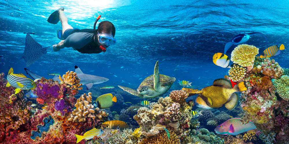 Thrilling Snorkeling Activity in Sanur Beach