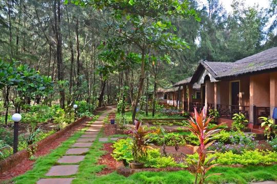 Beachside Cottage Stay On The Shores Of Gokarna Image