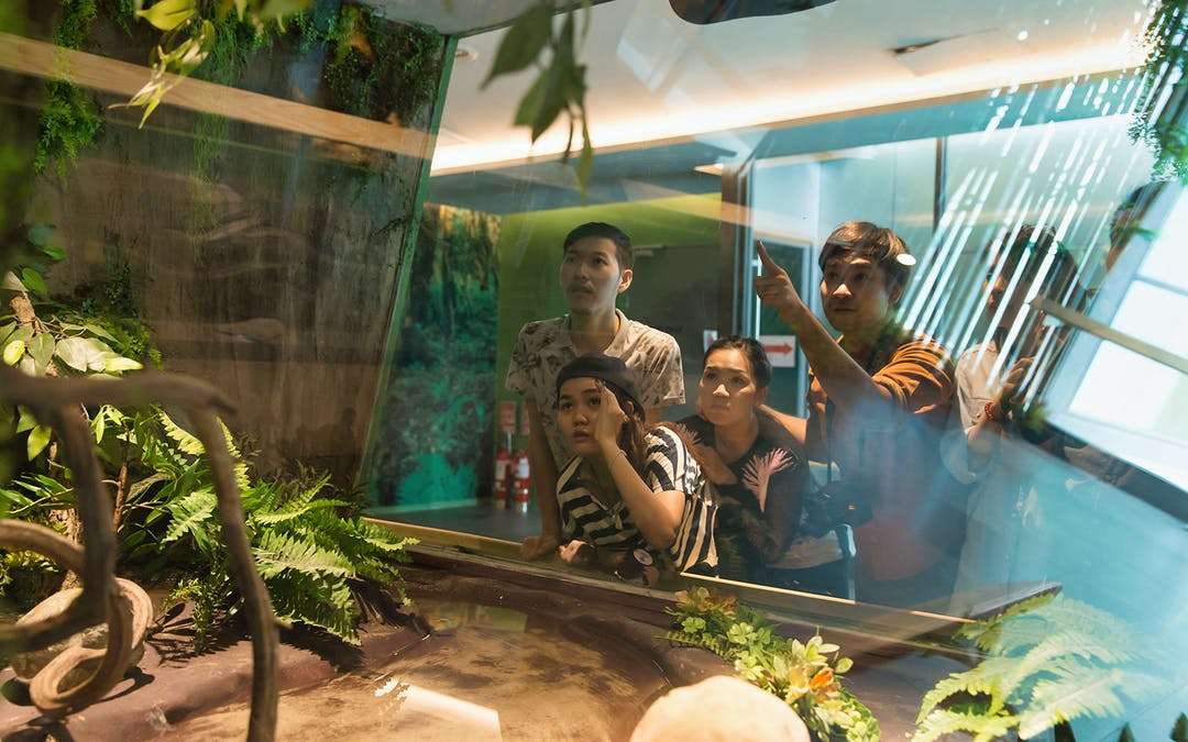 Siam Serpentarium Tickets Image