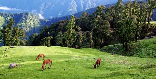 Chopta Chandrashila Trek From Delhi Image