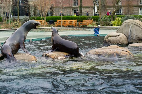 Central Park Zoo Tickets Image