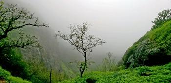 R8hzgwph4ibi0bjfpwohsurx33sj 1526384335 wp 20170716 12 06 55 pro.jpg