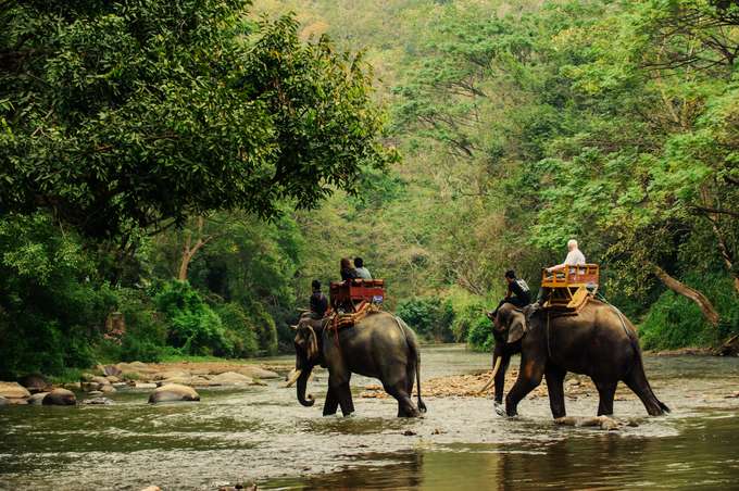Tourists on a jungle safari in Chitwan
