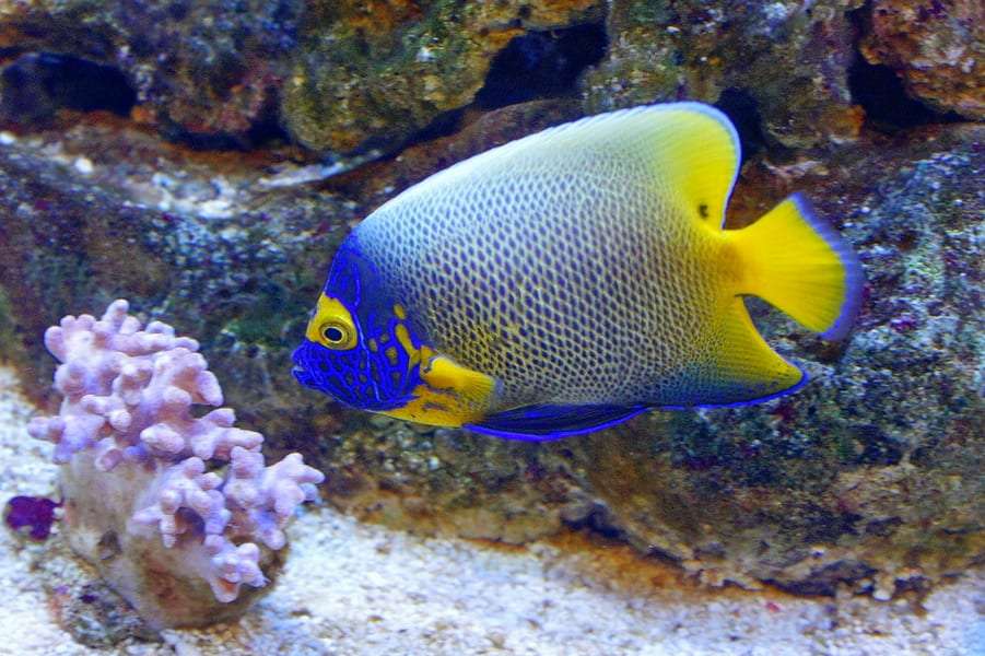 Aquaria KLCC Tickets Image