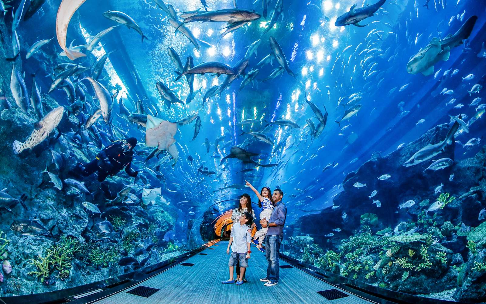 Family enjoying Dubai Aquarium & Underwater Zoo