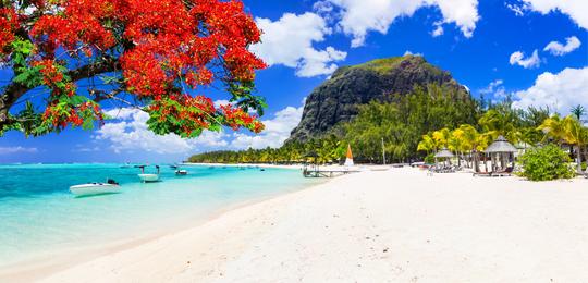 Mauritius Honeymoon Package from Bangalore Image