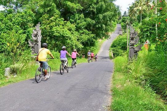 Cycling Tour In Bali Image