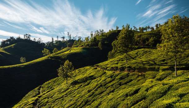 Rbs2c73qr7814w6beogu0myraaua downpic.cc 98005795