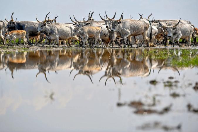 Hortobágy National Park