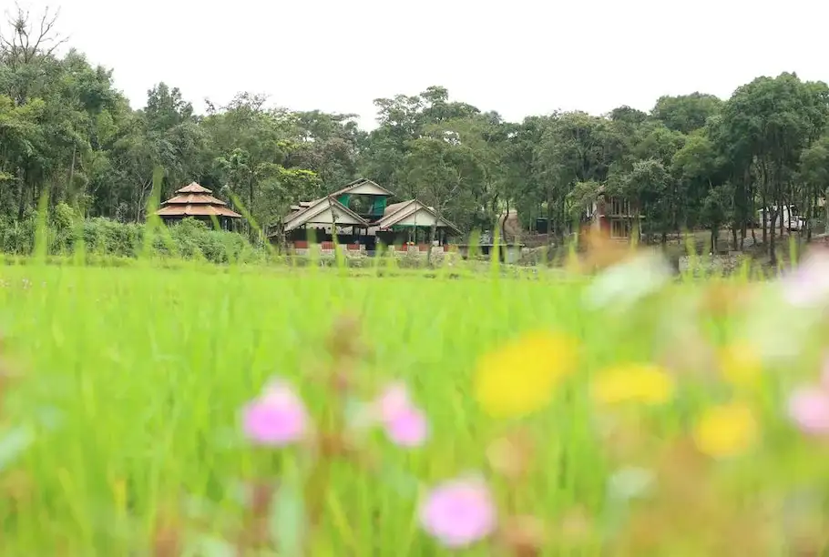 Aroha Eco Hill  Image