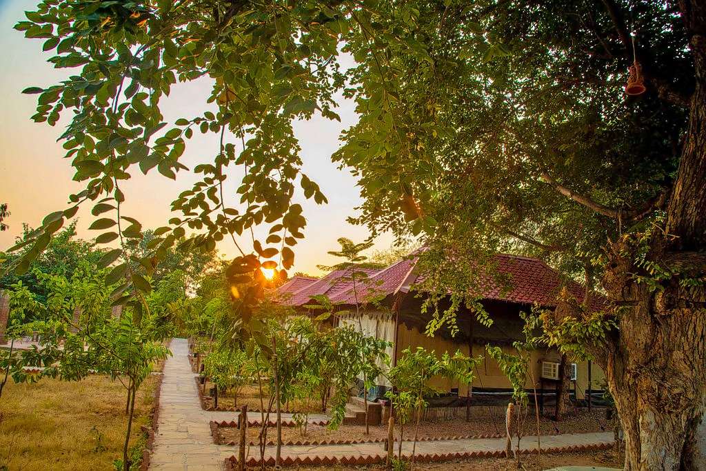 Greetoe Camp Panna  Image