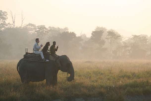 Rehji25exffzidph3667srhxywkk india tailormade tours kaziranga national park elephant trek 1920x1280