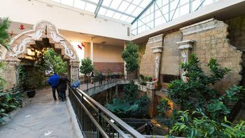 Relft1jz8b1xsidjvkl2lx6kus5k main aviary