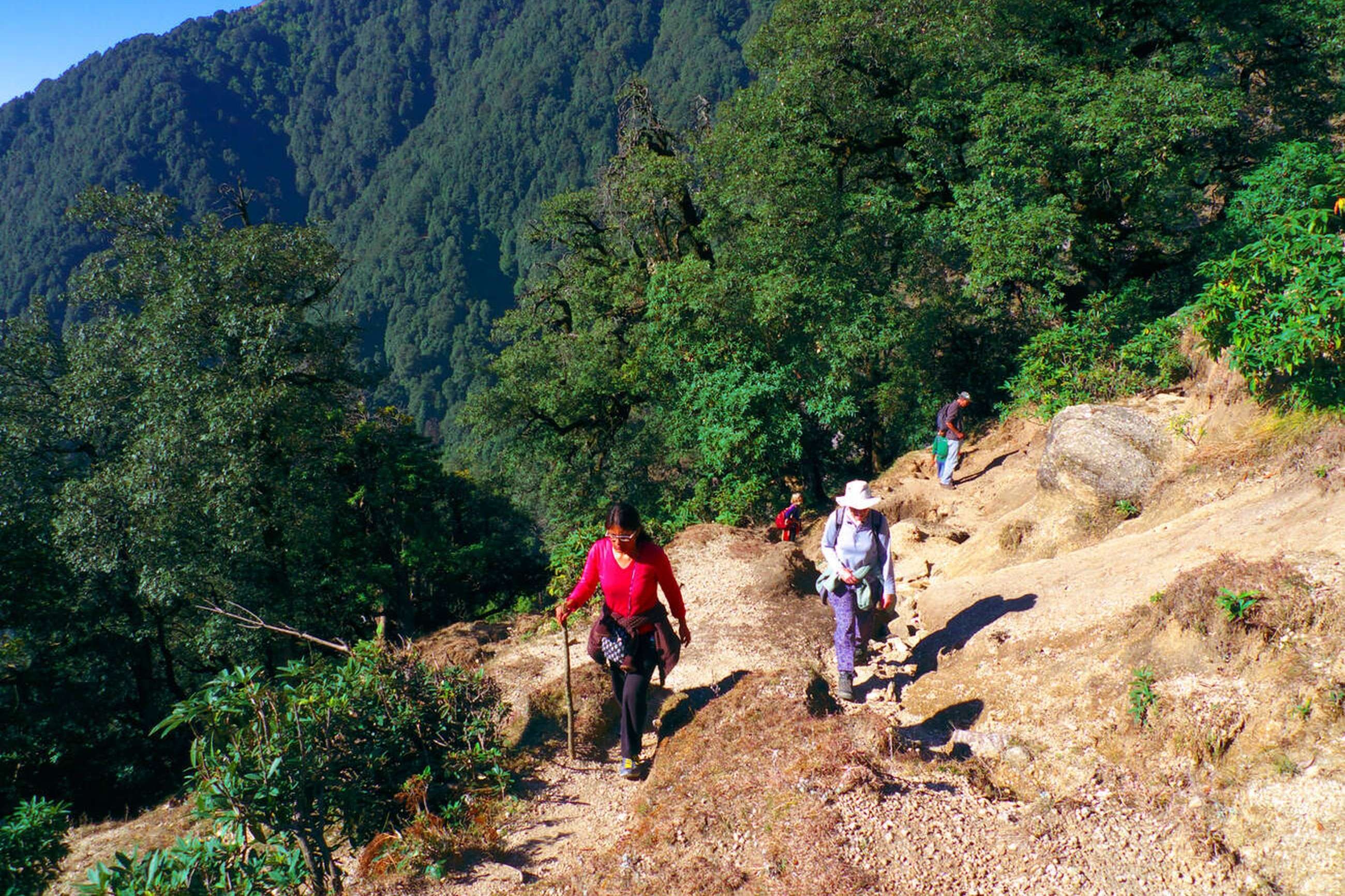 Go on a guided trek to Guna Devi temple from Mcleodganj