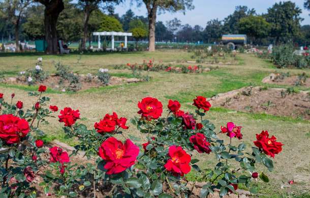 Rgwlpbtqlnhcz7mh9q8oaex42aki dl.beatsnoop.com 3000 ya4er9pmui