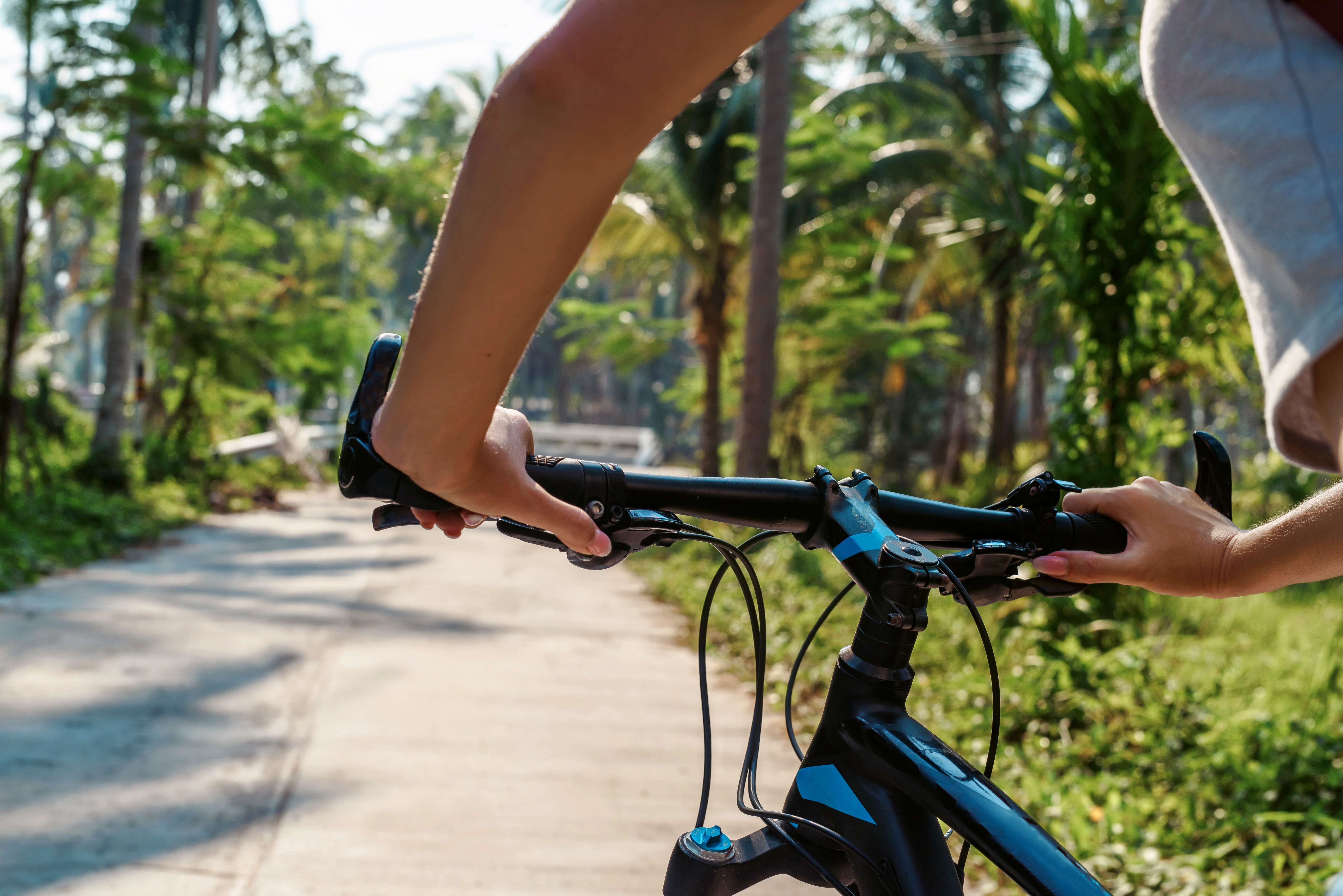 Village Cycling Trail in Munnar