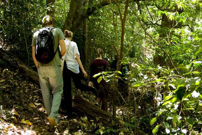 Trek along gentle forest trails, feeling the thrill of every step you take