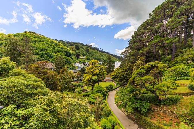 Wellington Botanic Garden