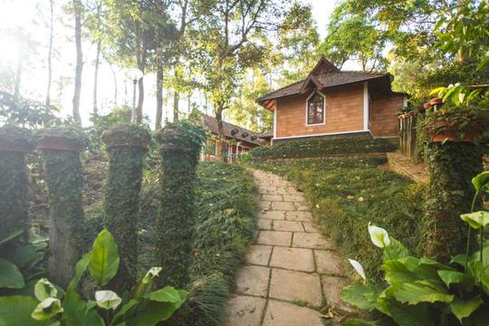 Misty Woods Resort Image