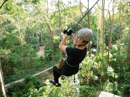 Treetop Challenge At Tamborine Mountain Image