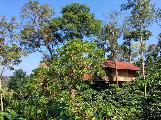 Coffee County Resort Wayanad Image