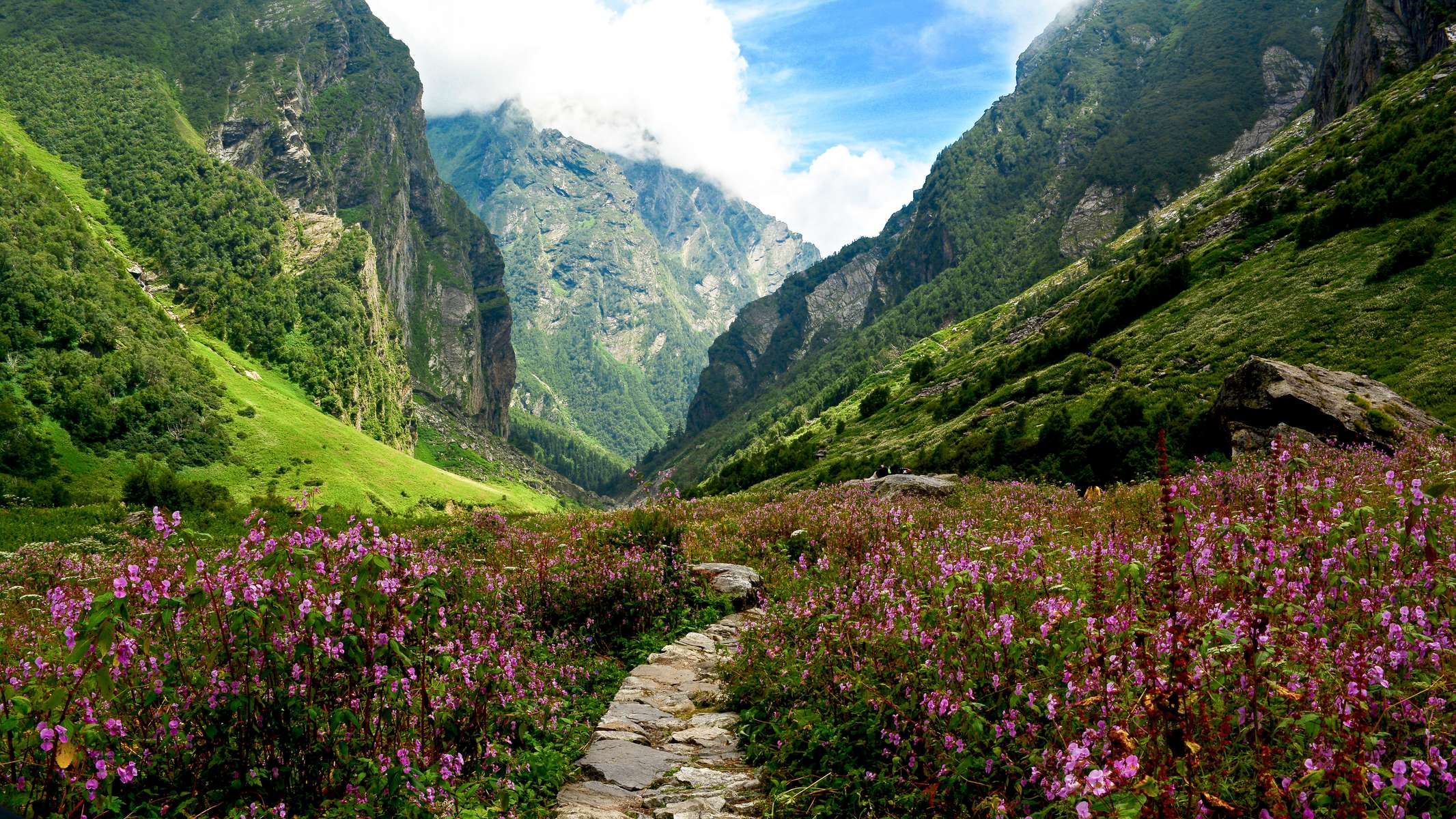 Valley of Flowers Trek Image