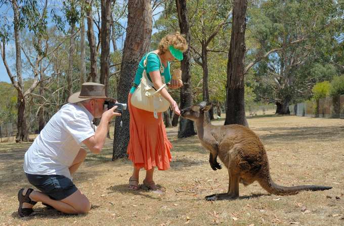 Capture unforgettable moments with wildlife at Cleland