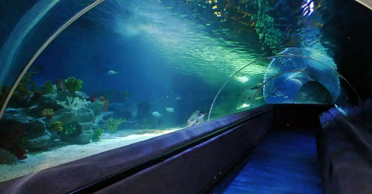 SEA LIFE Istanbul Tickets Image