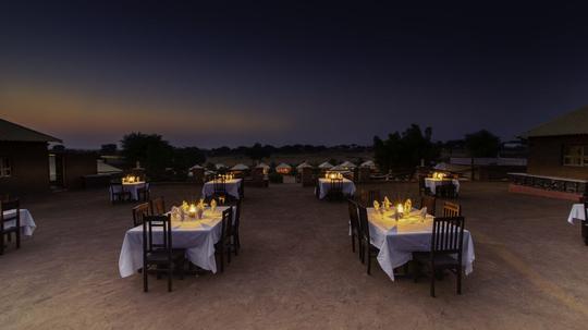 Camel Safari With Dinner Image