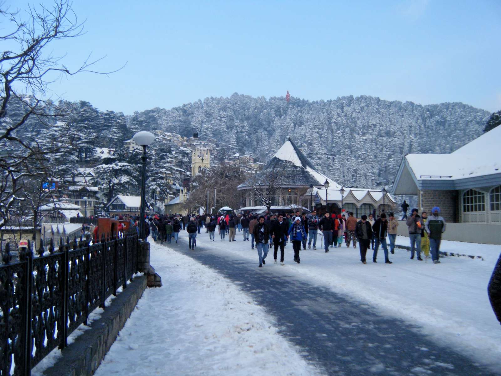 Experience Shimla Manali | DEALS from Delhi Image