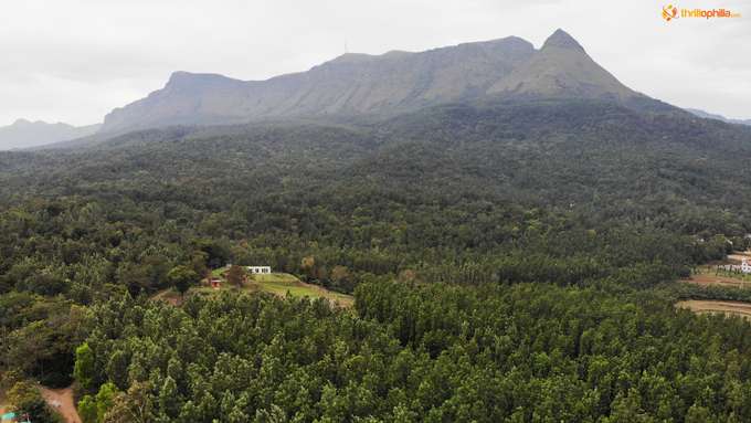 Aerial View of the Lush Greenery