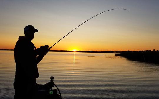 Castaway Cruise In Goa Image