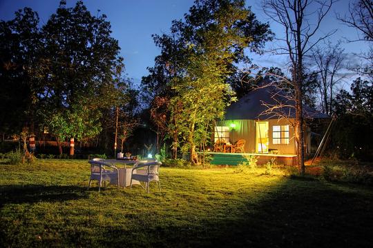 Pench National Park Jungle Safari Image