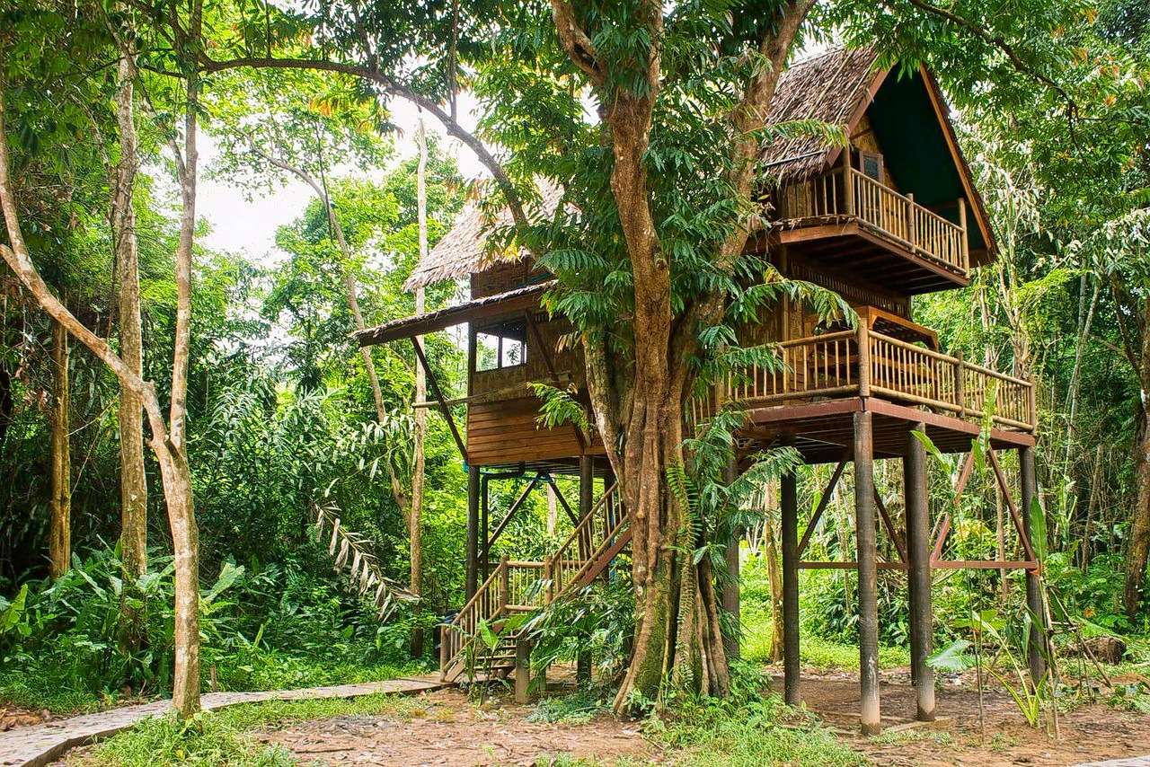 Valley View Tree House Stay near Chikmagalur