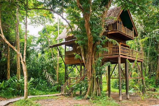 Valley View Tree House Stay near Chikmagalur