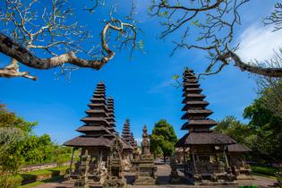 Rorc0rs250u5d6n1chmuahbq85kr shutterstock 1772359955