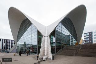 Rpd1rsu90lm20n6vdc7y4l7uui6j 25748119374 14dd953257 4k