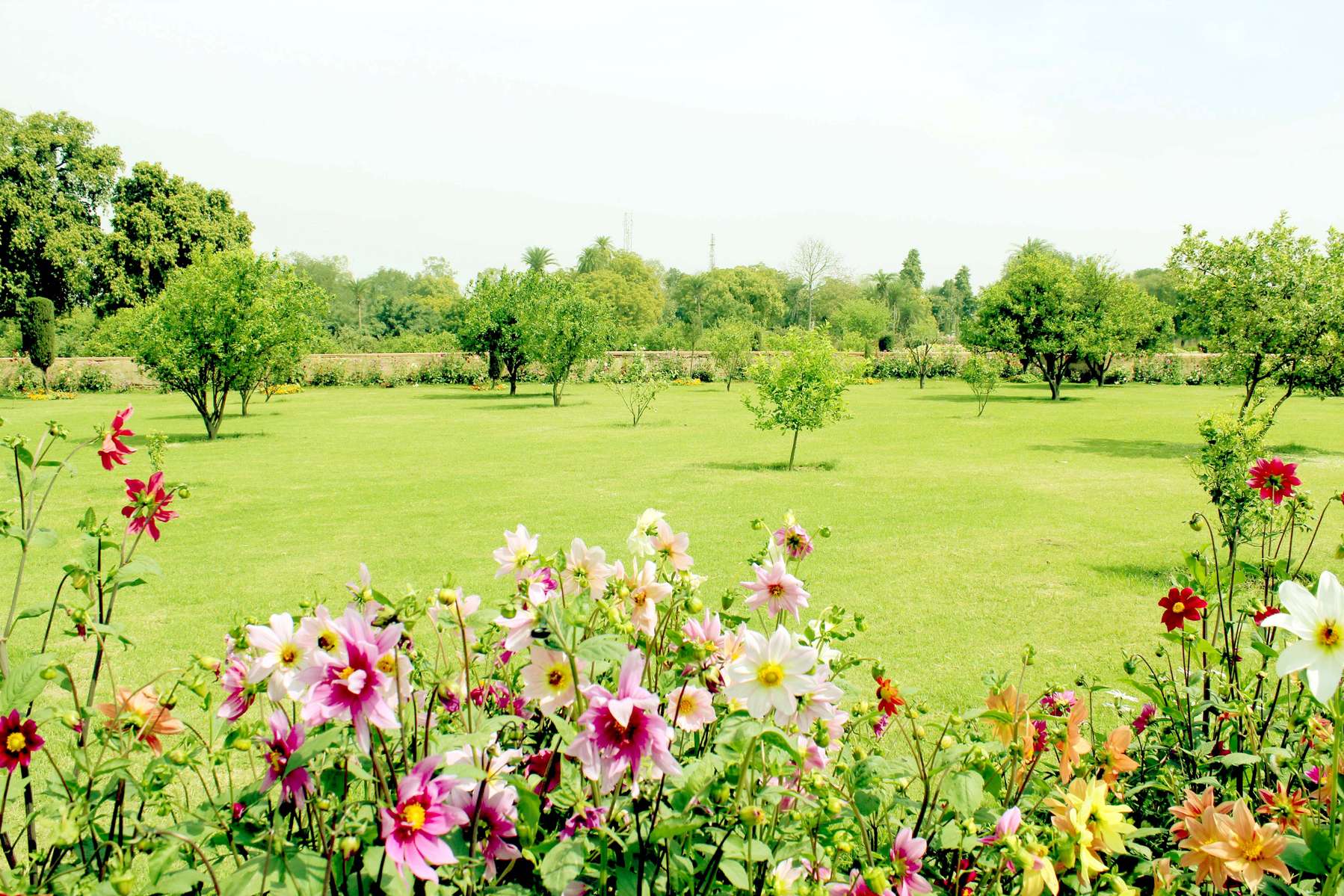 Ram Bagh Entry Ticket, Agra Image