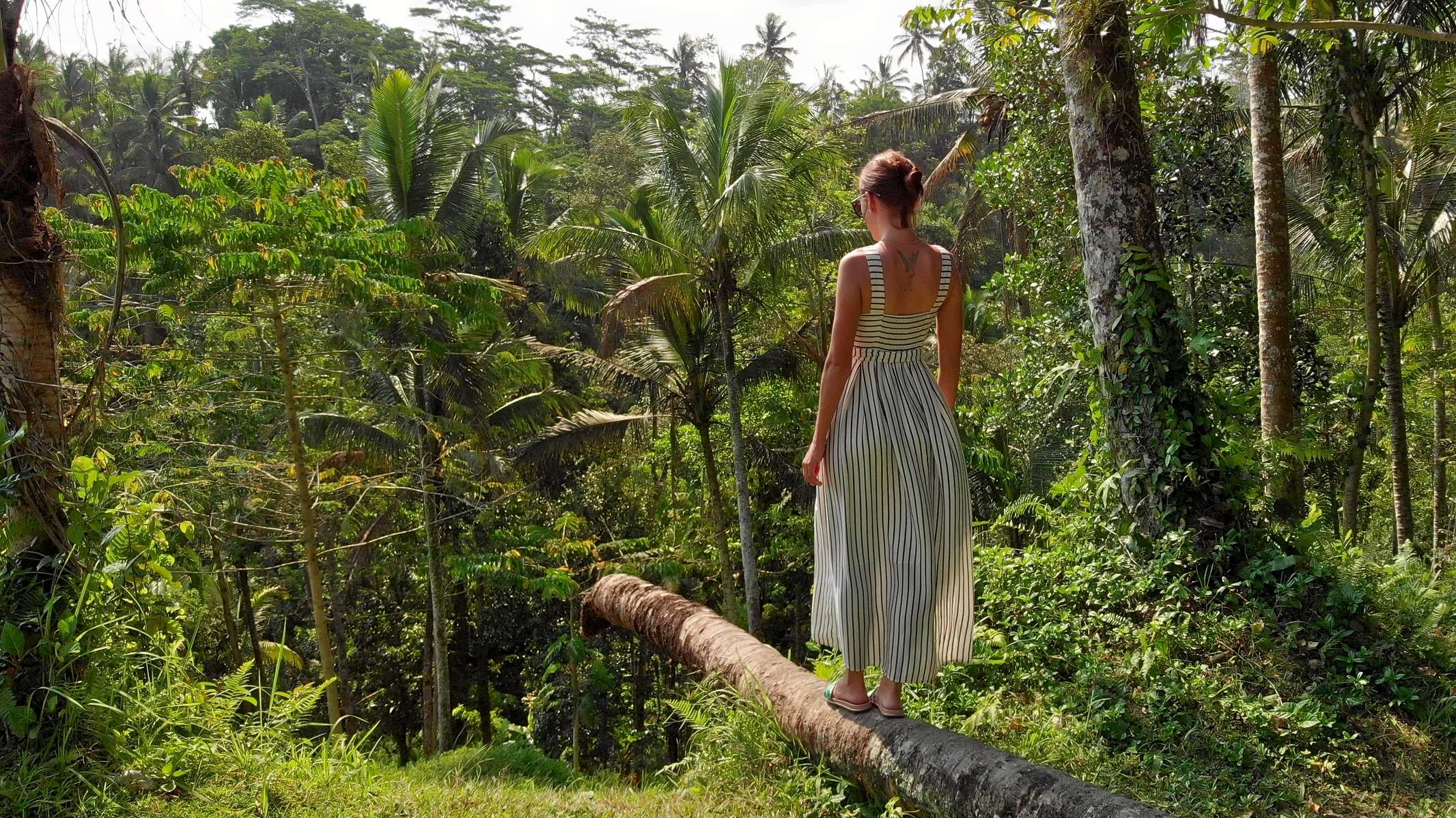 Jungle Trek Bali Image