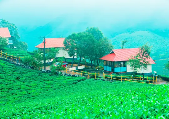 Voye Homes Novella Image