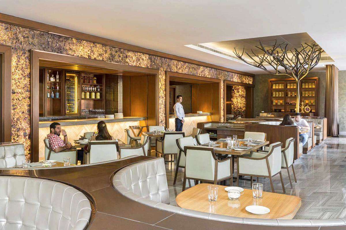 The Roseate New Delhi Image